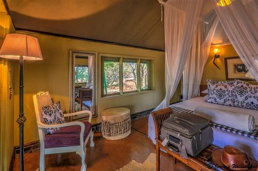 White Elephant Safari Lodge